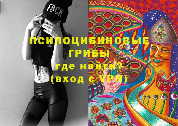 спиды Медногорск