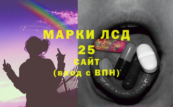 СК Медвежьегорск