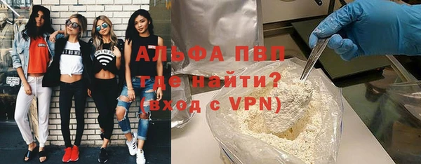 СК Медвежьегорск