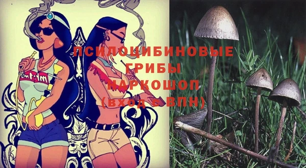 ГАЛЛЮЦИНОГЕННЫЕ ГРИБЫ Мегион