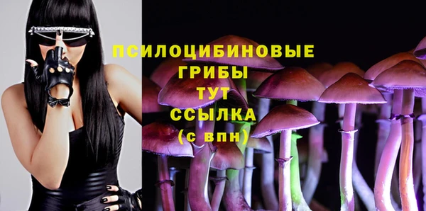 спайс Михайловка