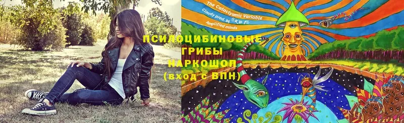 Галлюциногенные грибы Cubensis  ОМГ ОМГ ТОР  Чебоксары 