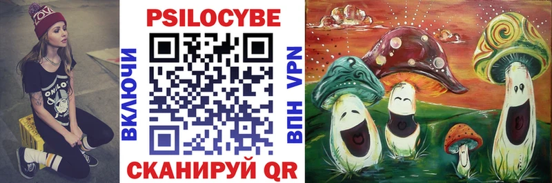 Галлюциногенные грибы Psilocybine cubensis  гидра зеркало  Чебоксары 