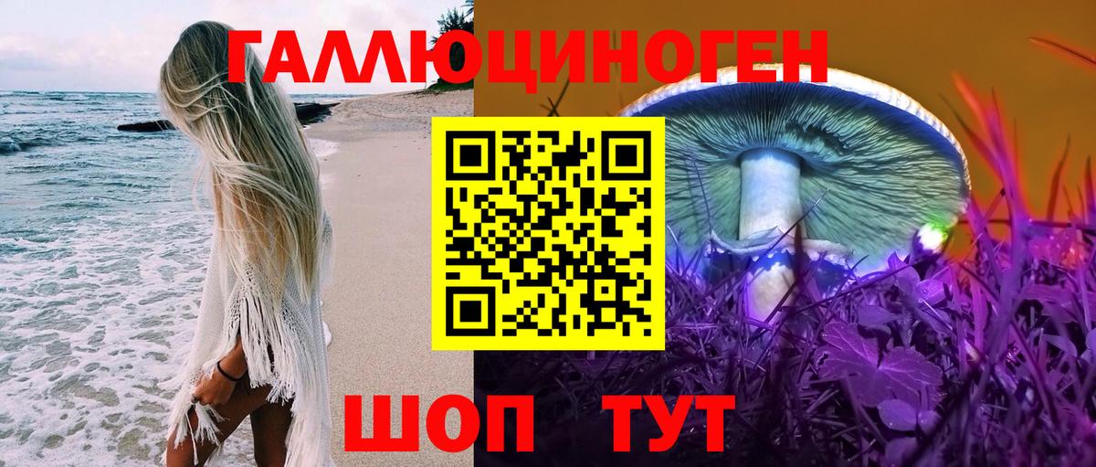 Галлюциногенные грибы Cubensis Чебоксары