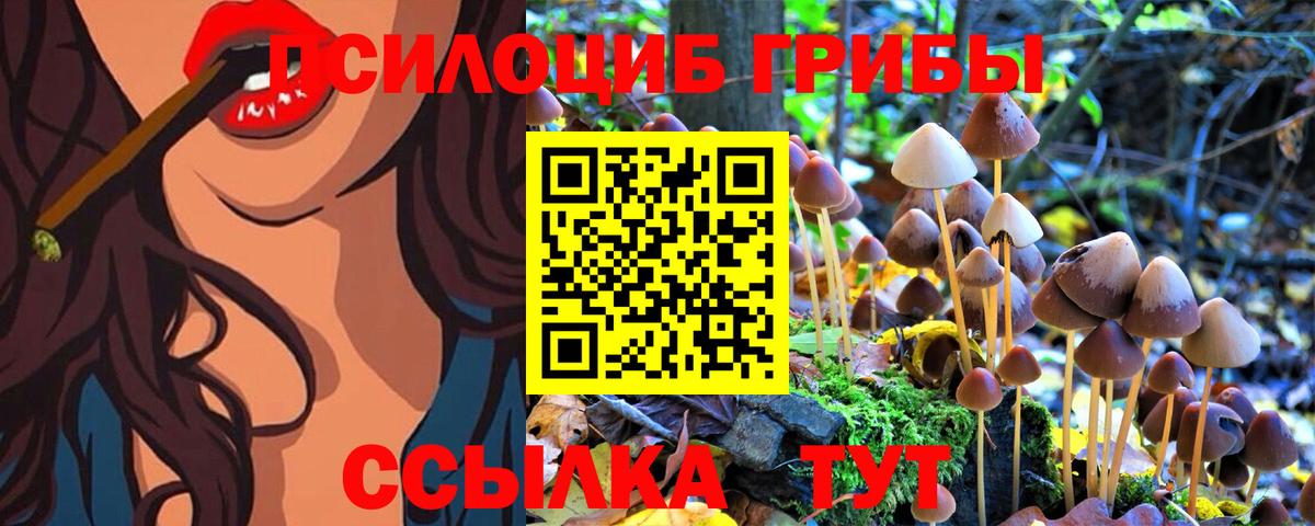 Галлюциногенные грибы мицелий  Галлюциногенные грибы Magic Shrooms  Чебоксары 