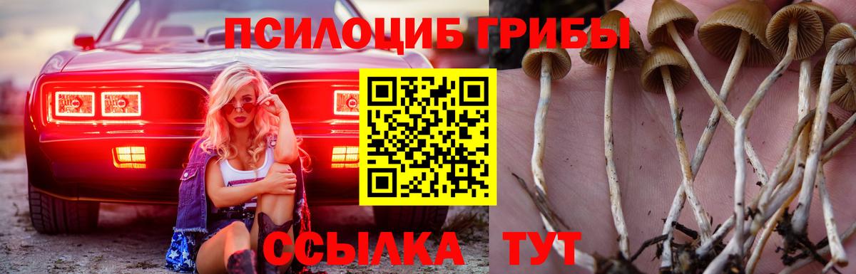 Псилоцибиновые грибы MAGIC MUSHROOMS Чебоксары