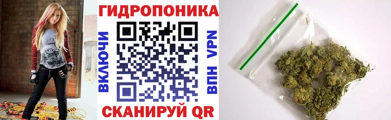 Шишки марихуана гибрид  Чебоксары 